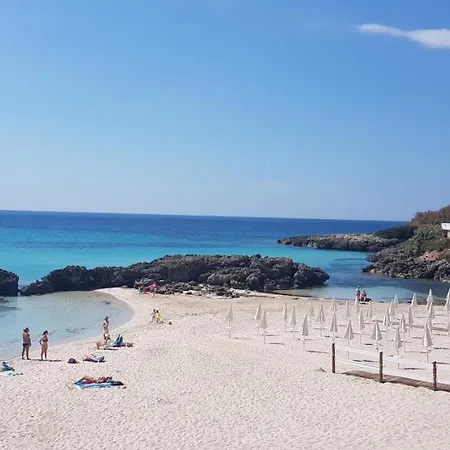 Aragonese 73